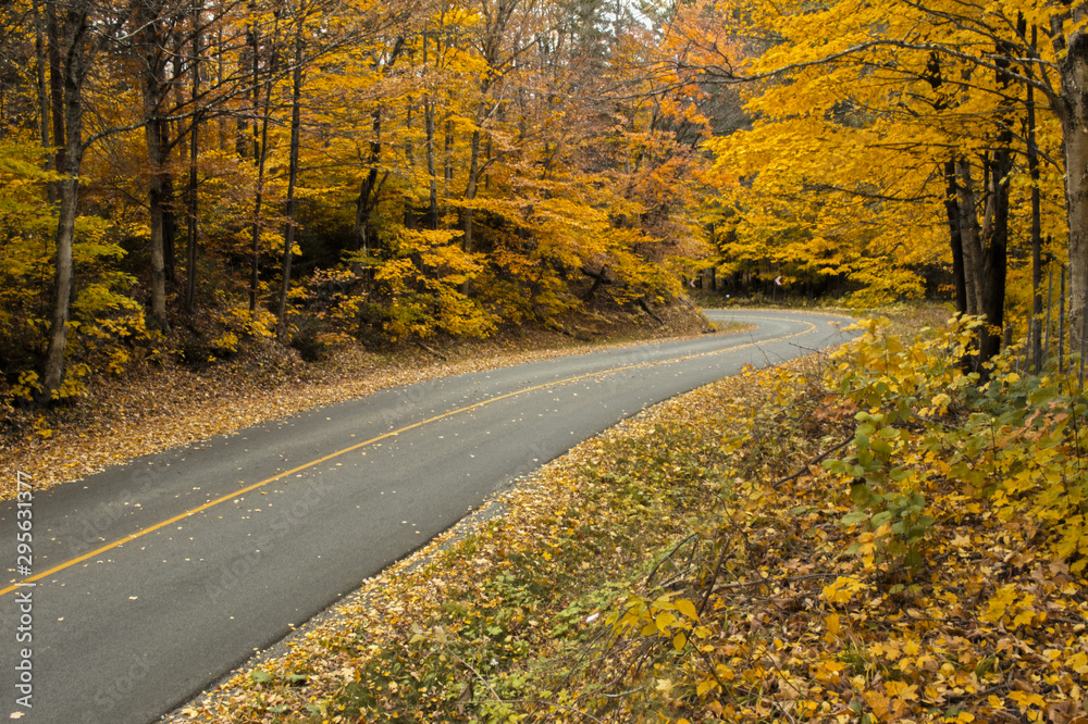 Obraz premium road in autumn
