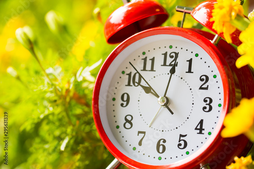 Spring Time Change Concepts. Summer back concept. Vintage Red Alarm Clock in A Garden