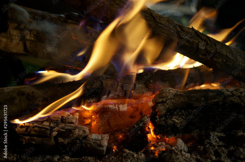 Naklejka premium Close-up of a tree burning in a bonfire