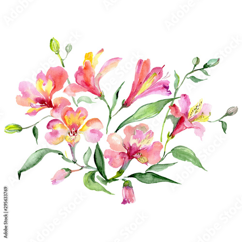 Alstroemeria bouquet floral botanical flowers. Watercolor background set. Isolated bouquets illustration element.