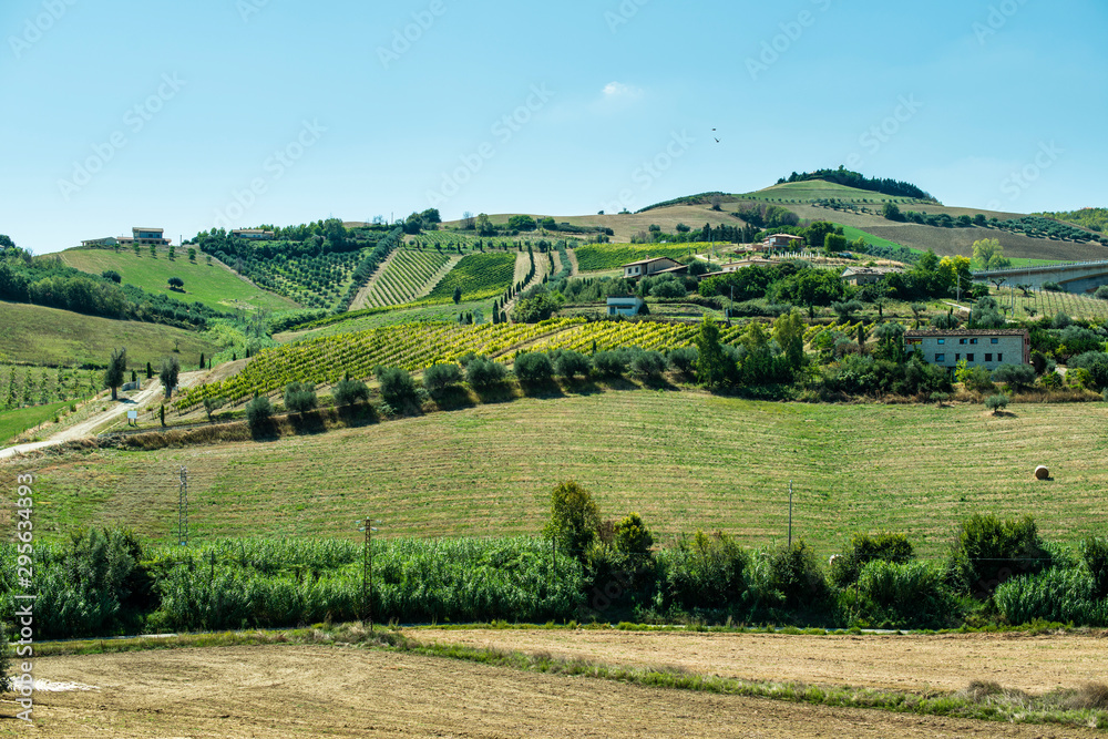 Roads, hills and agricultural land in Italy. Landscape with cypresses and vineyards.