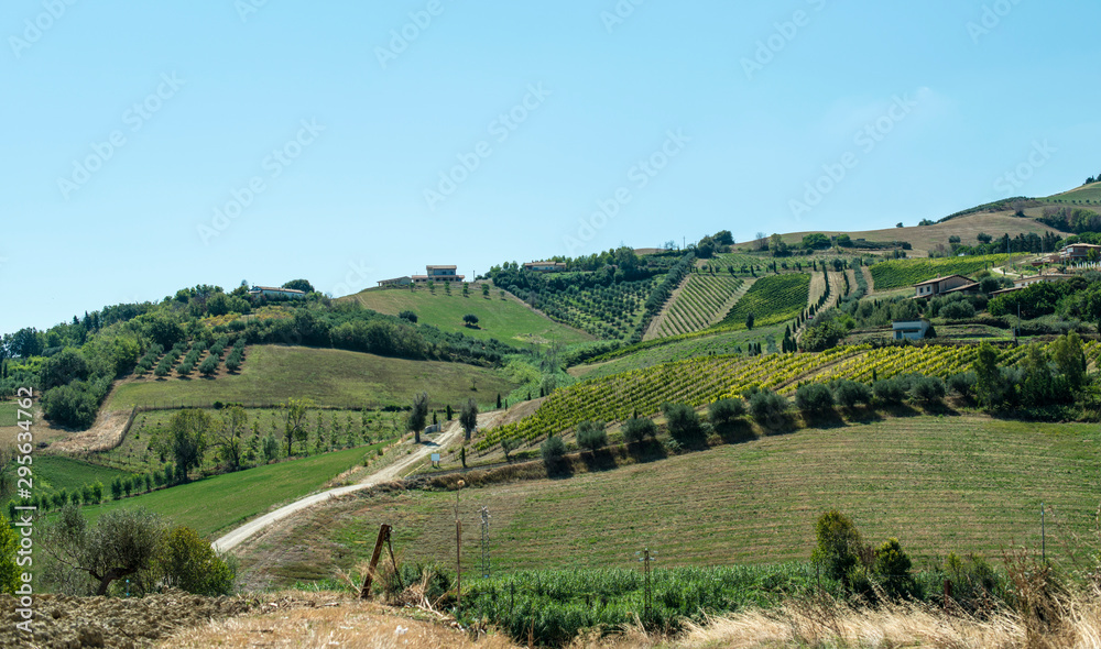Roads, hills and agricultural land in Italy. Landscape with cypresses and vineyards. Roads, hills and agricultural land in Italy. Landscape with cypresses and vineyards.