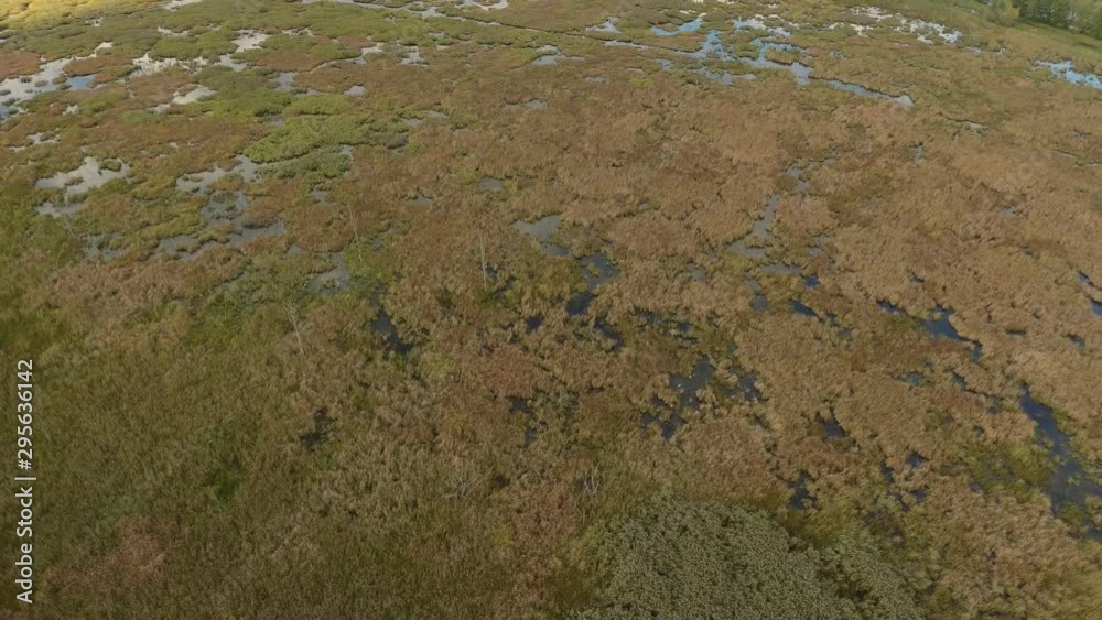 Rising drone shot of wet-land with poodles and ponds in early autumn Rising drone shot of wet-land with poodles and ponds in early autumn