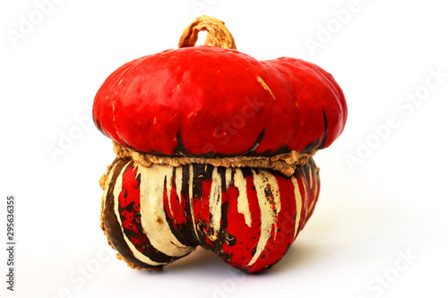 Decorative beautiful pumpkin with a red hat on a white background, close-up photo