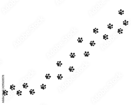 Fototapeta Naklejka Na Ścianę i Meble -  Paw vector foot trail print of cat. Paw dog, puppy, cat vector print, animal, isolated on white background