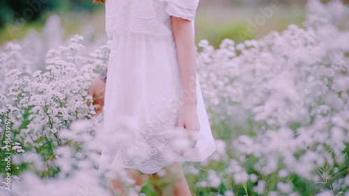 A white flower field with a girl wearing a white dress