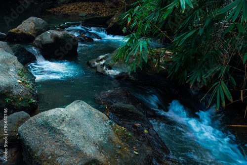 stream in the forest