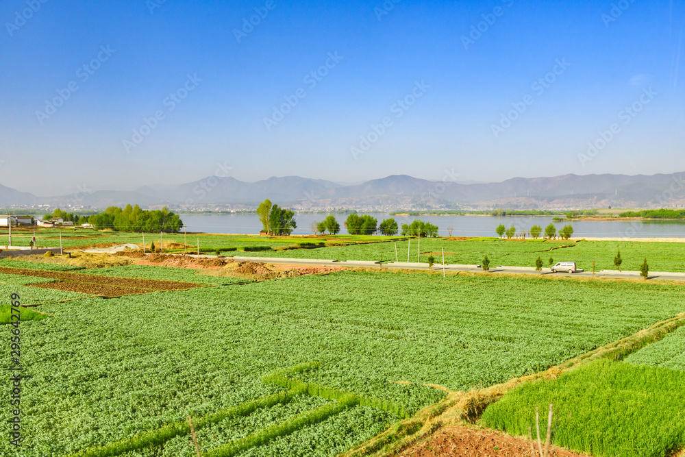 Rural countryside view of agricultural land, Dali, Yunnan, China