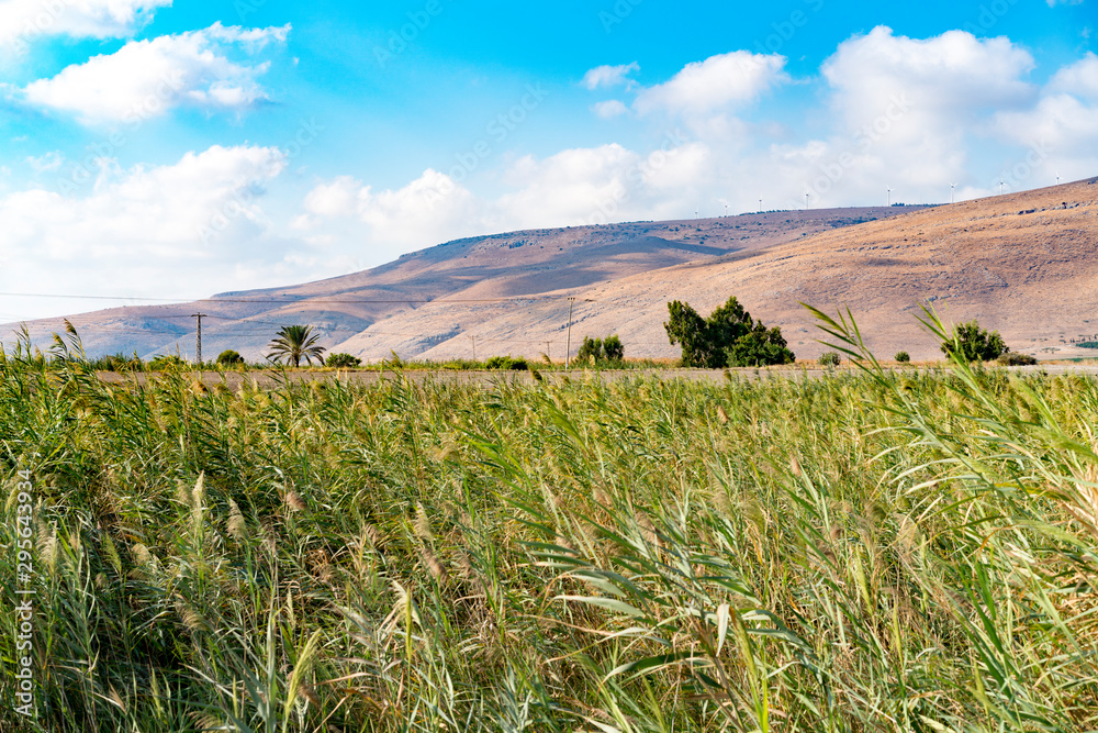 Green field with mountains landscape Green field with mountains landscape