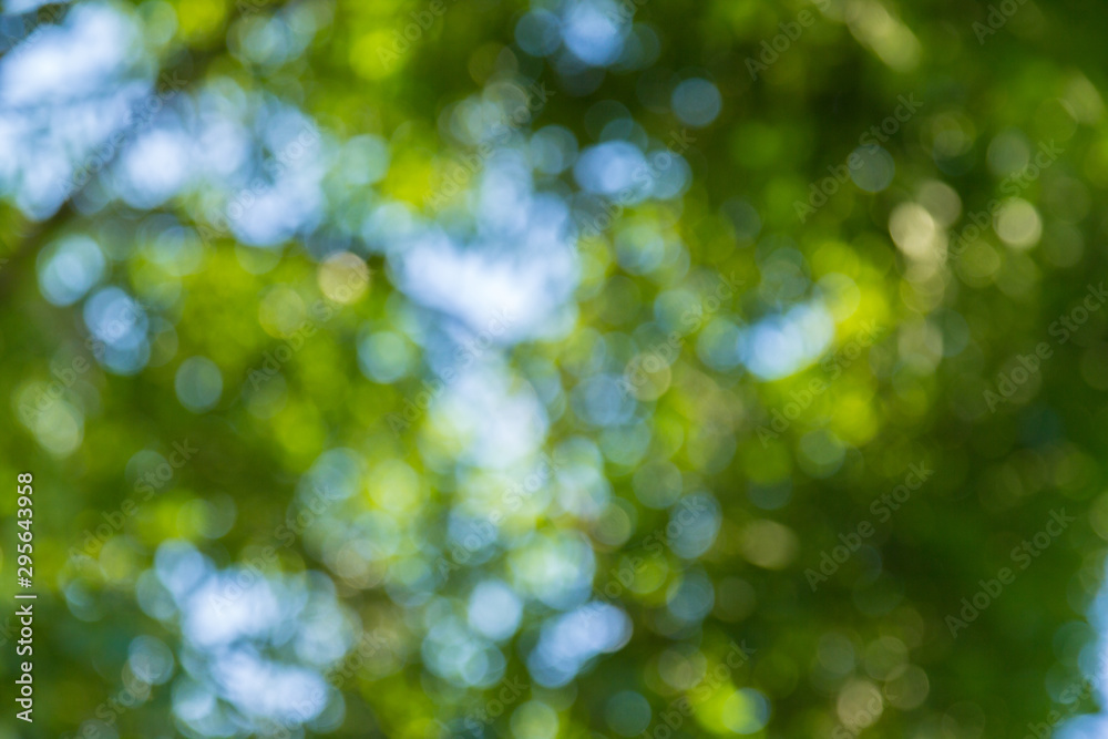 Natural green bokeh abstract background Natural green bokeh abstract background