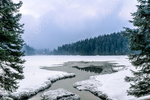 A reflection at the snow-covered Arbersee in fog