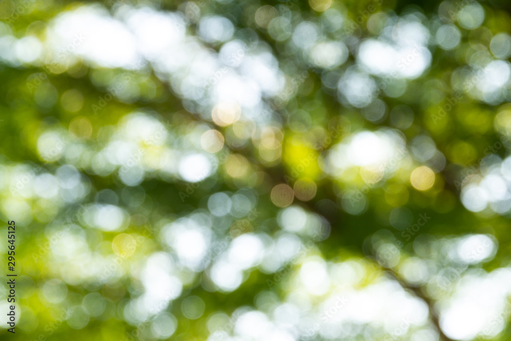 Natural green bokeh abstract background Natural green bokeh abstract background