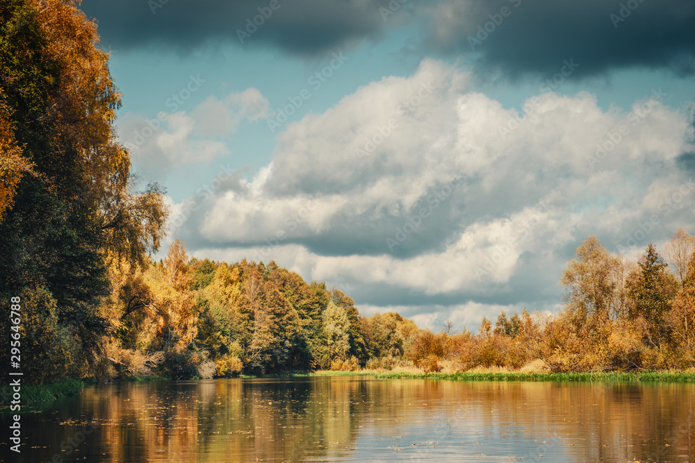 Fototapeta premium Picturesque autumn forest by the river.