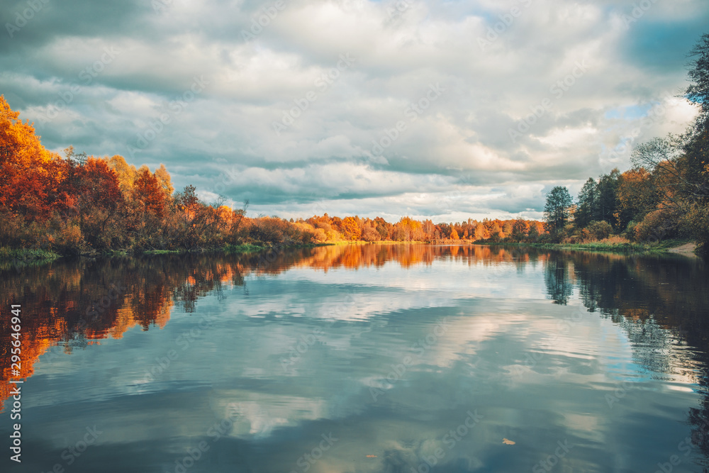 Picturesque autumn forest by the river.