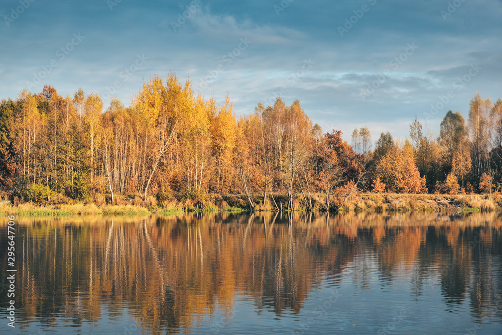 Picturesque autumn forest by the river.