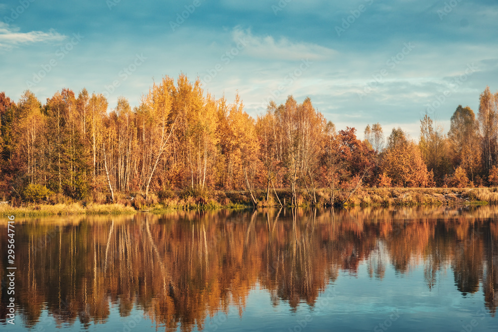 Picturesque autumn forest by the river.