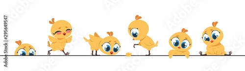 Cute chicken border. Funny baby chick, little flat characters frame design for greeting cards. Vector cartoon design background with little poultry farm birds on white