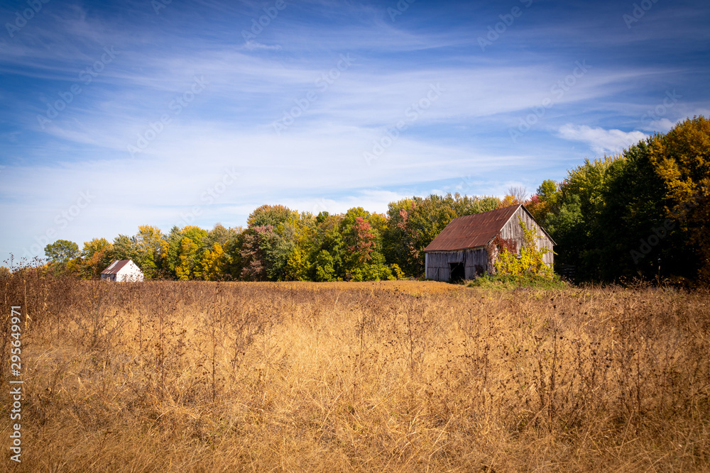 Old abandoned barn in the field autumn season landscape Old abandoned barn in the field autumn season landscape