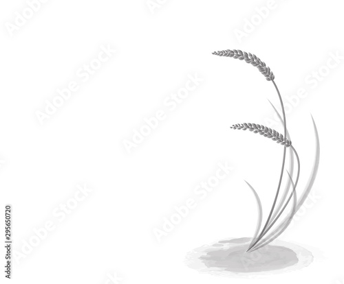 Rice in black and white, watercolor style, sign symbol, vector illustration. photo