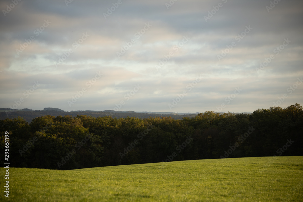 Ciel nuageux nature arbres prairie