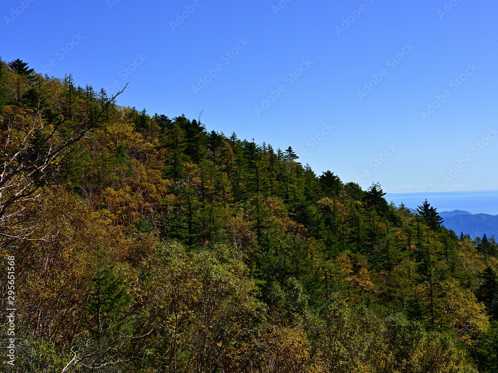 Autumn has begun at the 5th station of Mt.Fuji