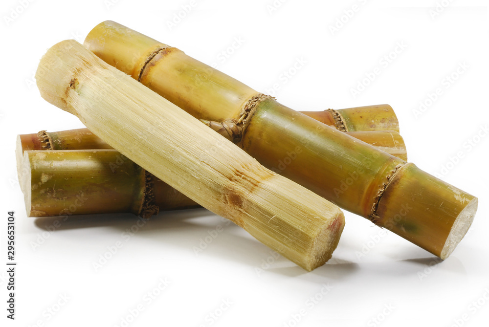 Sugarcane isolated on white background