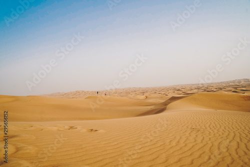 Landscape of sand dunes desert © Ruthsarintre