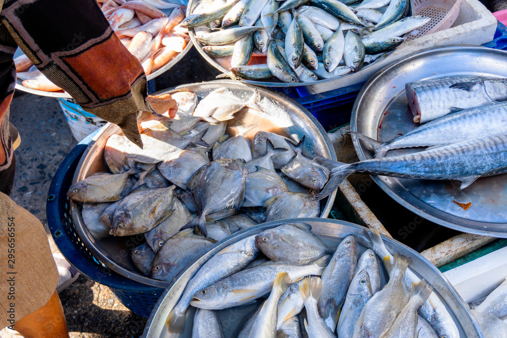 Fish fresh seafood sold in the morning market, popular bought to cook kinds  is good for health, Songkhla province country Thailand