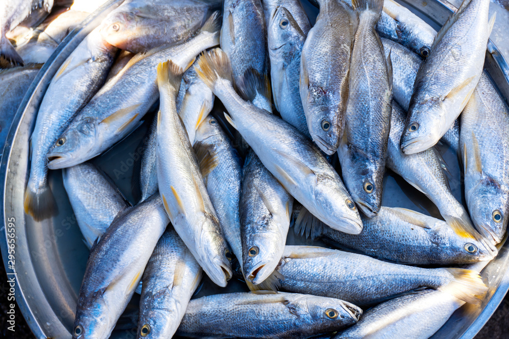 Fish fresh seafood sold in the morning market, popular bought to cook kinds is good for health, Songkhla province country Thailand Fish fresh seafood sold in the morning market, popular bought to cook kinds is good for health, Songkhla province country Thailand
