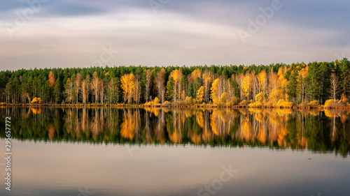 panorama of autumn forest on the river Bank in the Urals, Russia, October