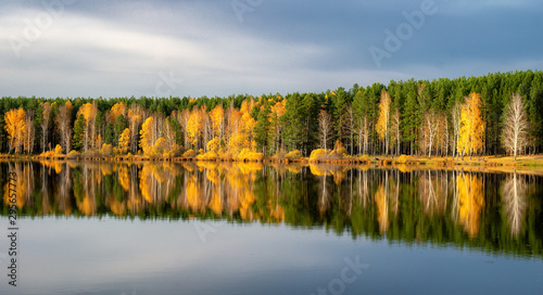 panorama of autumn forest on the river Bank in the Urals, Russia, October