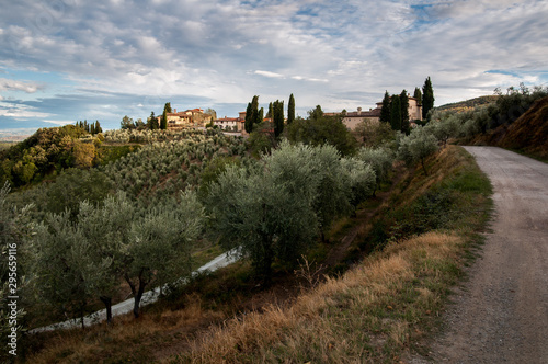 A farm in Tuscany  Italy with olive trees in the foreground.