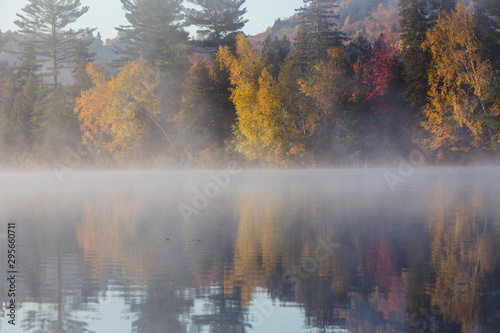 Laurentian Forest landscape in autumn  Quebec  Canda