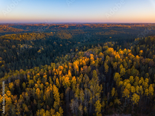 Latvian autumn nature. VIew from the top.