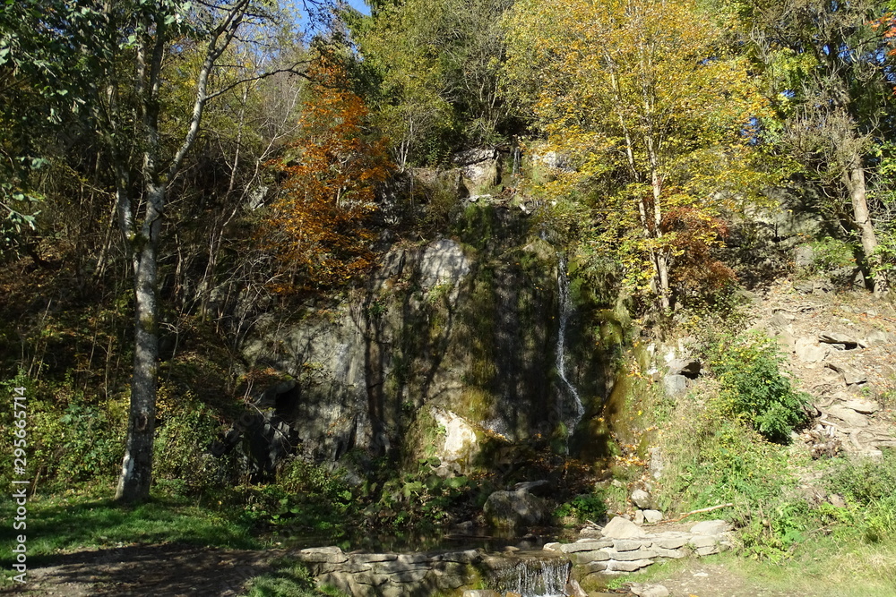 autumn in the park