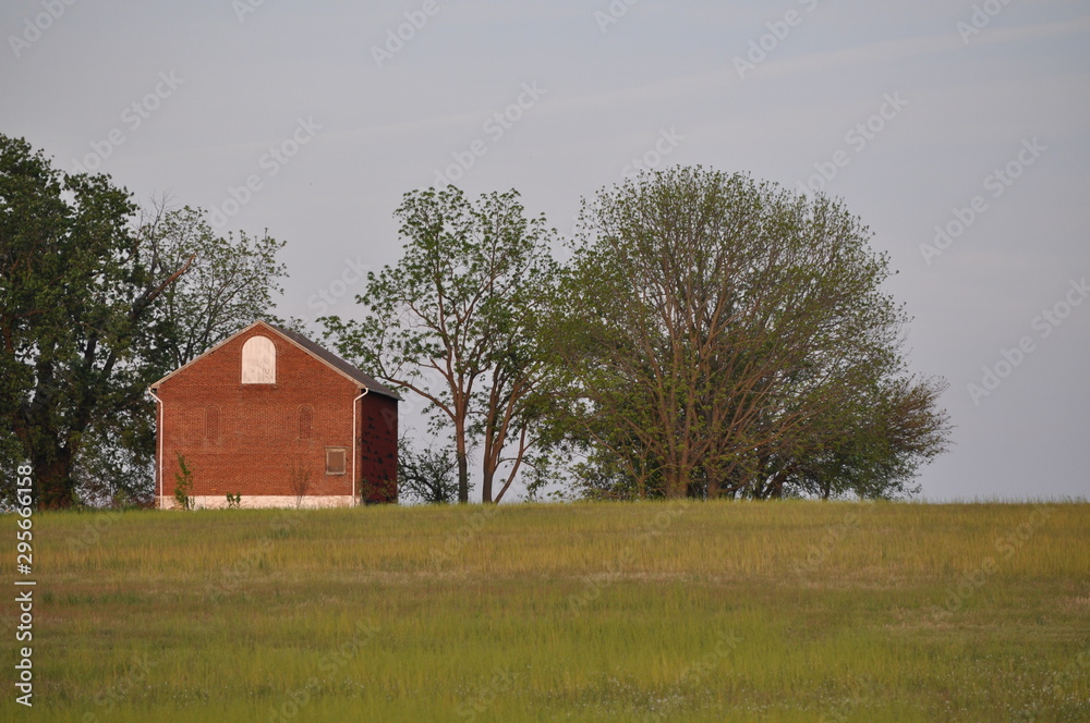 Field Field