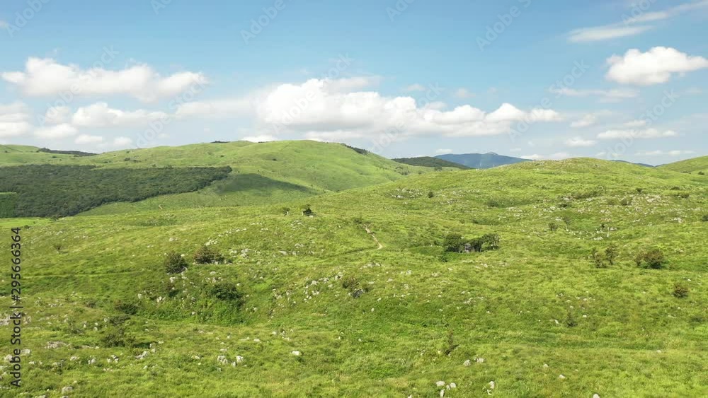 新緑のカルストをドローン空撮