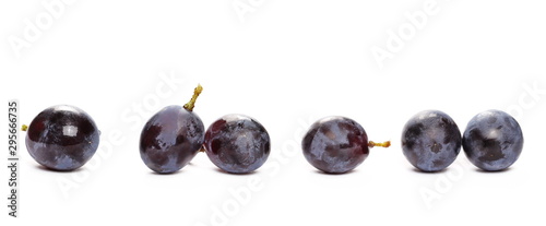 Fotografia, Obraz Fresh black muscat grapes isolated on white background
