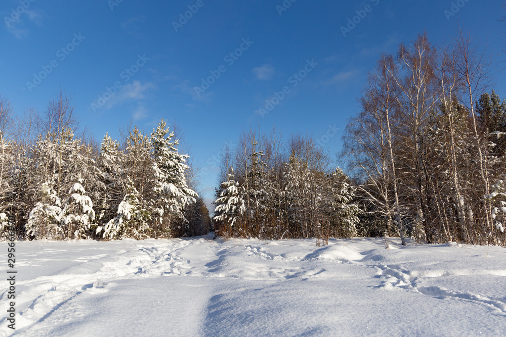 winter landscape with trees and road winter landscape with trees and road
