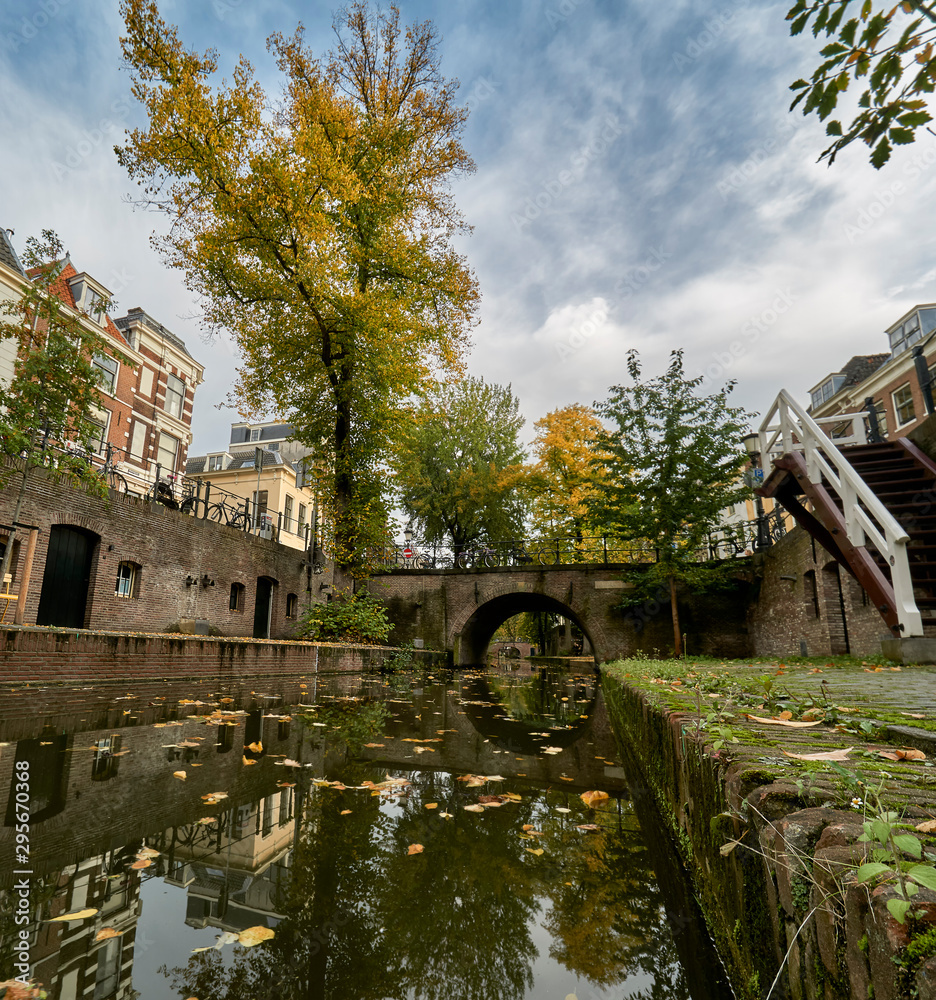 Trees on nieuwegracht canal in historic city center of Utrecht, the Netherlands with bridge and stairs              