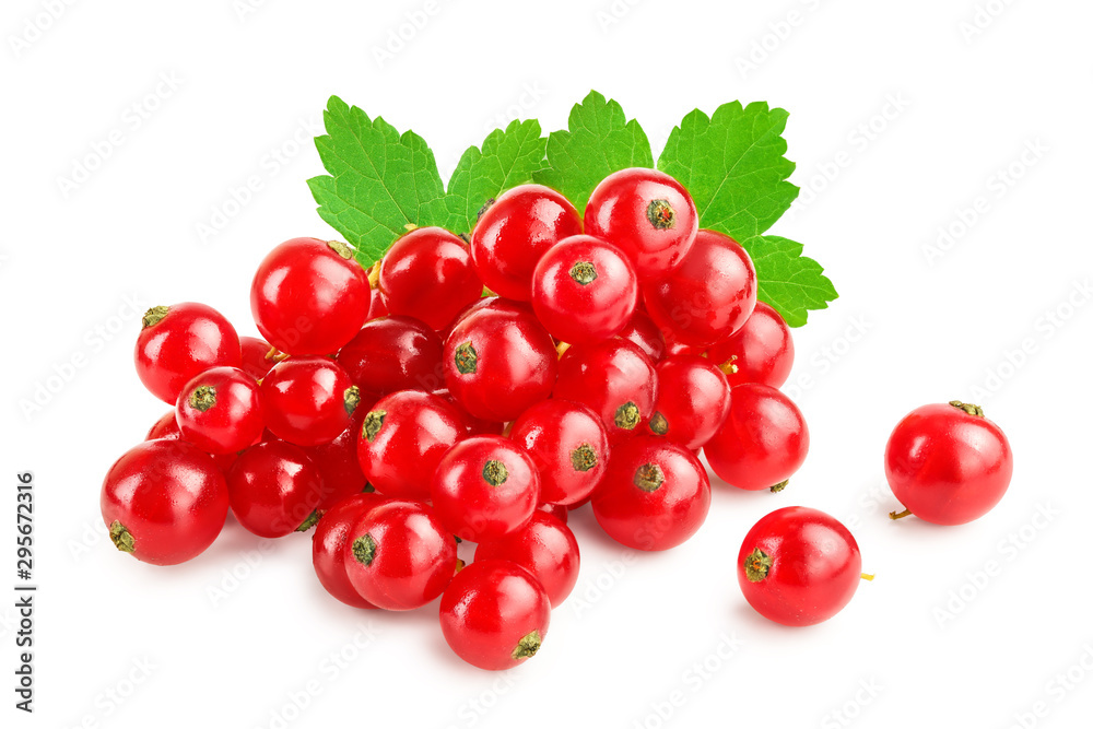 Red currant berries with leaf isolated on white background