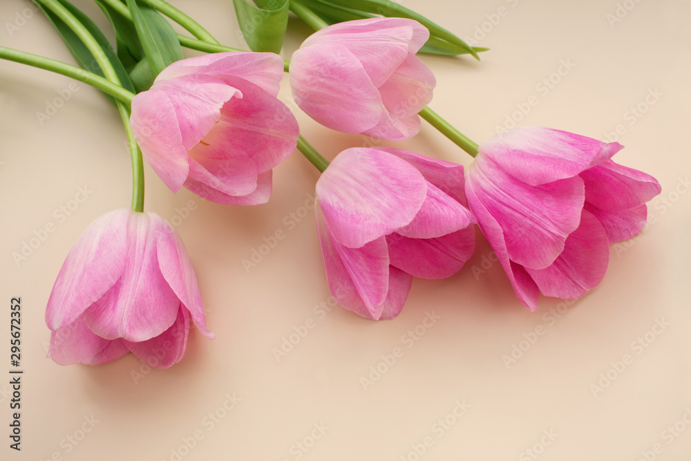The tulips with beautiful buds of pink color lie on a beige background The tulips with beautiful buds of pink color lie on a beige background