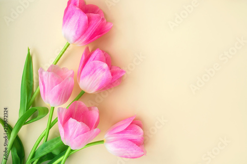 Fototapeta Naklejka Na Ścianę i Meble -  The tulips with beautiful buds of pink color lie on a beige background. Place for text on the right.