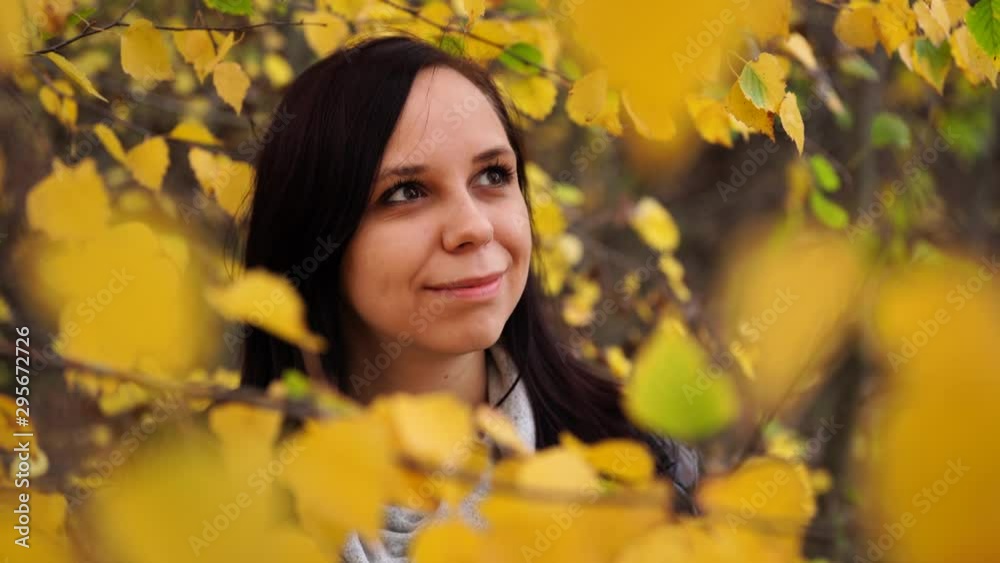 Portrait of a beautiful smiling woman is standing in the autumn forest between the branches of trees with yellow foliage. Portrait of a beautiful smiling woman is standing in the autumn forest between the branches of trees with yellow foliage.