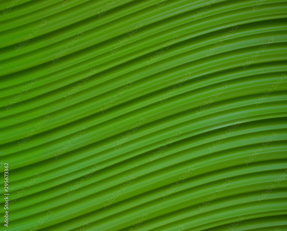Light green wooden wavy surface Light green wooden wavy surface