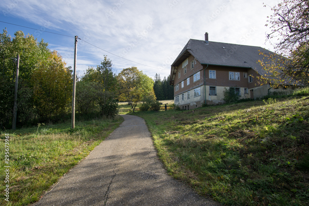 Schwarzwald im Herbst Schwarzwald im Herbst