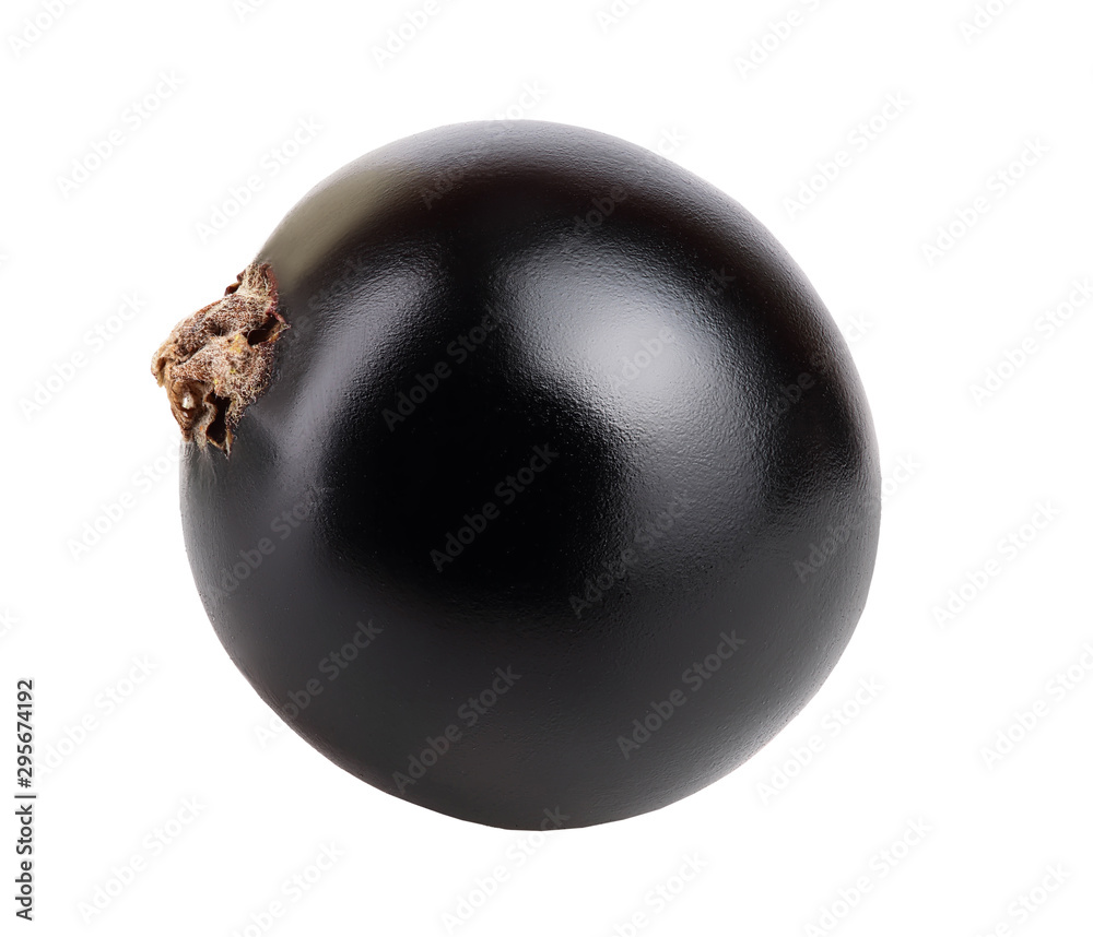 One black currant isolated on white background One black currant isolated on white background
