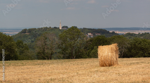 Foin sur la colline de Sion photo