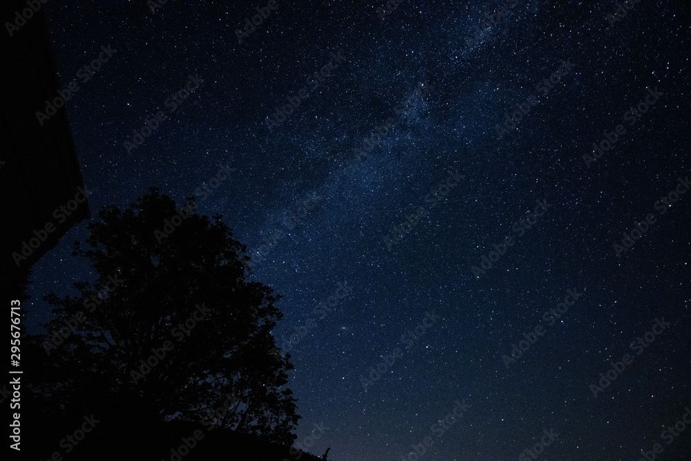 Milky Way starry night with tree silhouette Milky Way starry night with tree silhouette