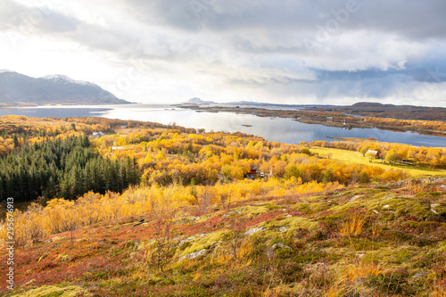 Autumn colors and views from Kverntiden in Brønnøy municipality, Nordland county © Gunnar E Nilsen